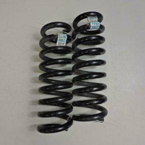 2017-2020 Chevrolet Camaro Coil Spring Pair 84079567