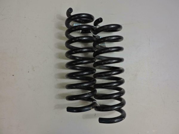 2017-2020 Chevrolet Camaro Coil Spring Pair 84079567