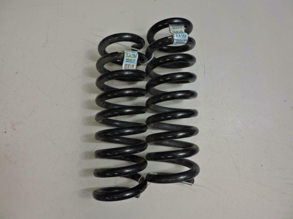 2017-2020 Chevrolet Camaro Coil Spring Pair 84079567